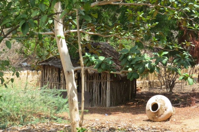 Grave yard where an important elder is buried from a few centuries ago, his grave under a hut. - copyright Rupi Mangat