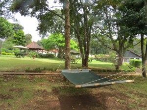 Plenty of space to relax at Brackenhurst Copyright Rupi Mangat