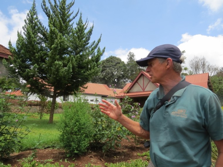 Mark Nicholson talking about the Malawian national tree, Mulanje cedar (Widdringtonia whytei) that will be gone in ten years if their habitats are not protected (taller tree) and the shorter Juniperus procera or African pencil cedar (shorter tree).   Copyright Rupi Mangat