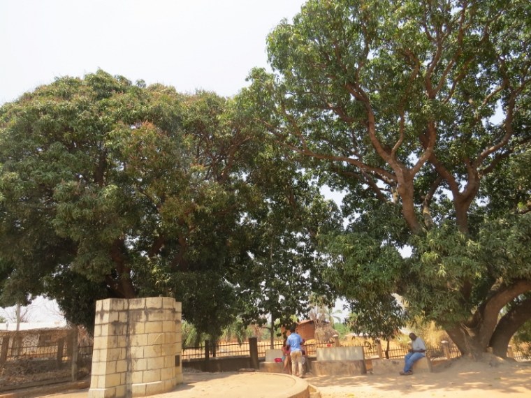 The simple structure of soft beige stone with a cross engraved on it and the letters LIVINGSTONE under the mango trees at the spot of the epic meeting. The stones are from Jerusalem. Copyright Rupi Mangat