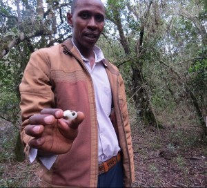Njogu with the now rare snail at the Mount Kenya Resource Centre nature trail - copyright Rupi Mangat