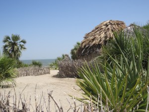 Lake Turkana from Eliye Springs Copyright Rupi Mangat