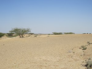 Desert dune overlooking lake Copyright Rupi Mangat