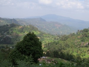 Taita Hills - northern extreme of Eastern Arc Mountains Copyright Rupi Mangat