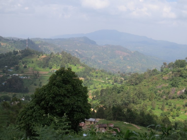 Taita Hills - northern extreme of Eastern Arc Mountains Copyright Rupi Mangat