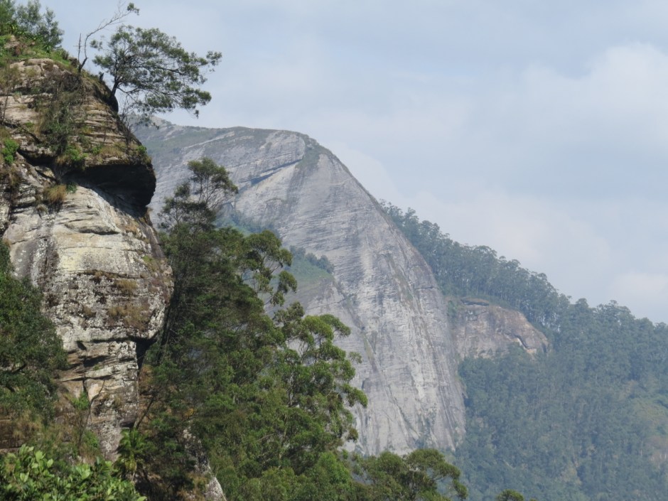The peak of IYale - second highest of Taita Hills Copyright Rupi Mangat