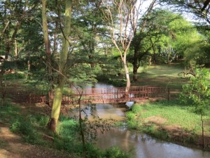 Bridge over River Sante Copyright Rupi Mangat