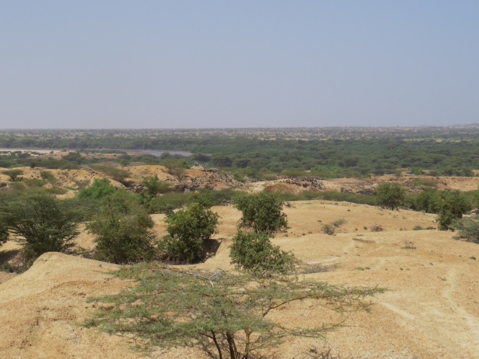 The anicent earth of Turkana by the Turkwel River flowiing into Lake Turkana Copyright Rupi Mangat