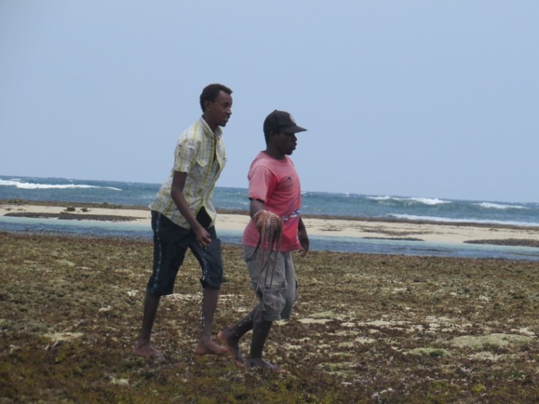 Fishers with octopus by the reef - Copyright Rupi Mangat