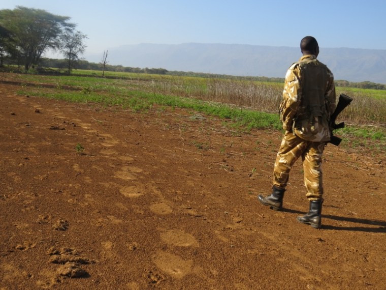 Elephant track coming to drink at Kamnarok Copyright Rupi Mangat