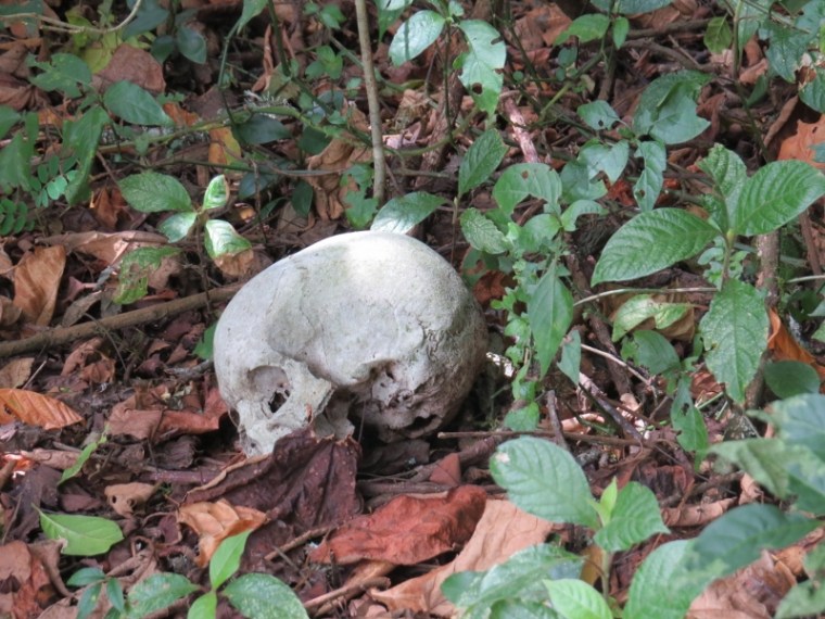 Skulls of respected man ioutside the cave - in Vuria part of the Taita Hills - copyright Rupi Mangat