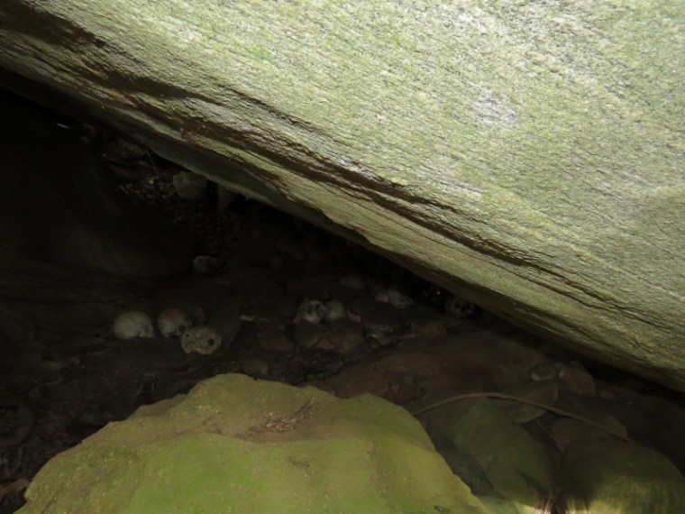Skulls of respected men - in Vuria part of the Taita Hills - copyright Rupi Mangat
