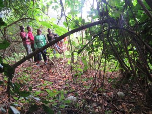 Village kids with us by the skull cave - see skulls in the foreground - in Vuria part of the Taita Hills - copyright Rupi Mangat for 12 May 2018