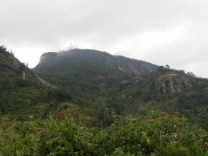 Peak of Vuria in Taita Hills - copyright Rupi Mangat