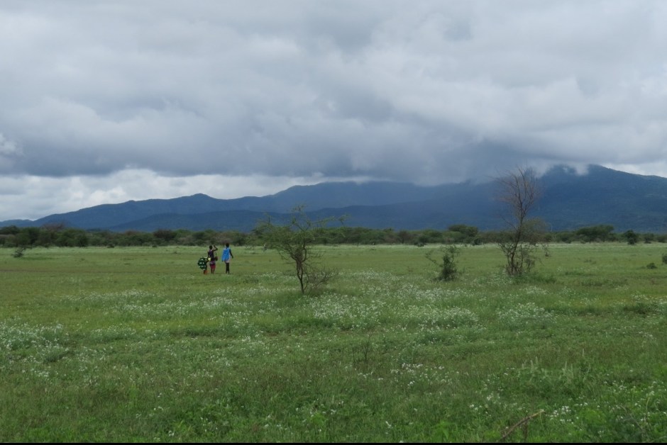 Mt Olorgesailie decked in cloud and wild flowers - copyright Rupi Mangat 5 May 2018