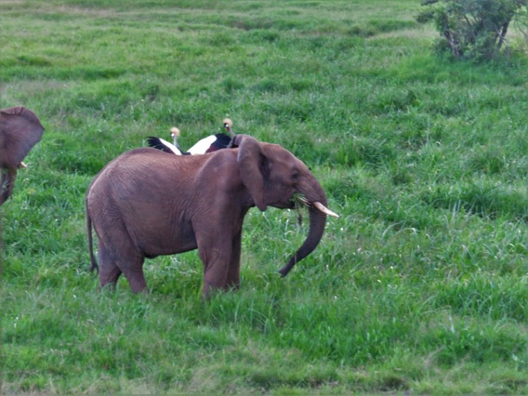 IMG_5716 (2) (800x600)