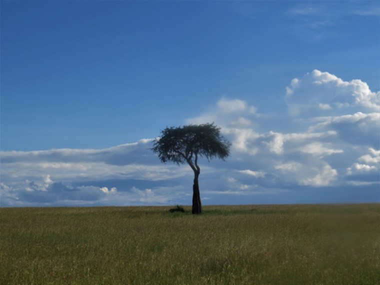 IMG_5752 (2) (800x600)