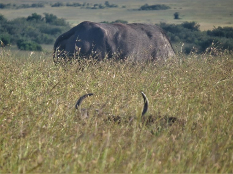 IMG_5772 (2) (800x600)