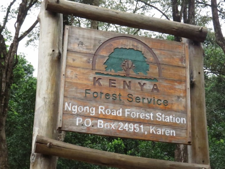 Ngong Road Forest Station in Nairobi.. Copyright Rupi Mangat
