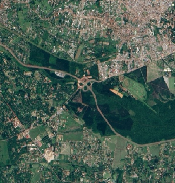 Satellite picture of Ngong Road Forest which used to be one large fores but is now in five patches.