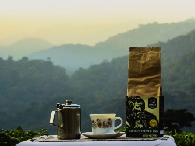Gorilla-Conservation-Coffee-Coffee-and-view-of-Bwindi.web_-1024x683-640x480_c