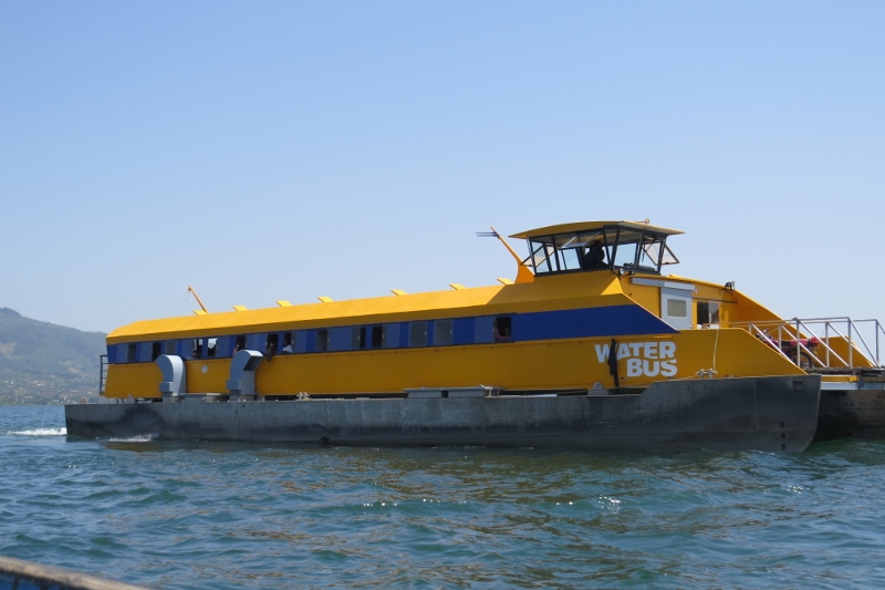 IMG_9139 (800x533) (2)