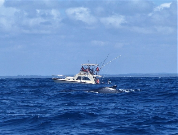 seastorm 3 (800x605)