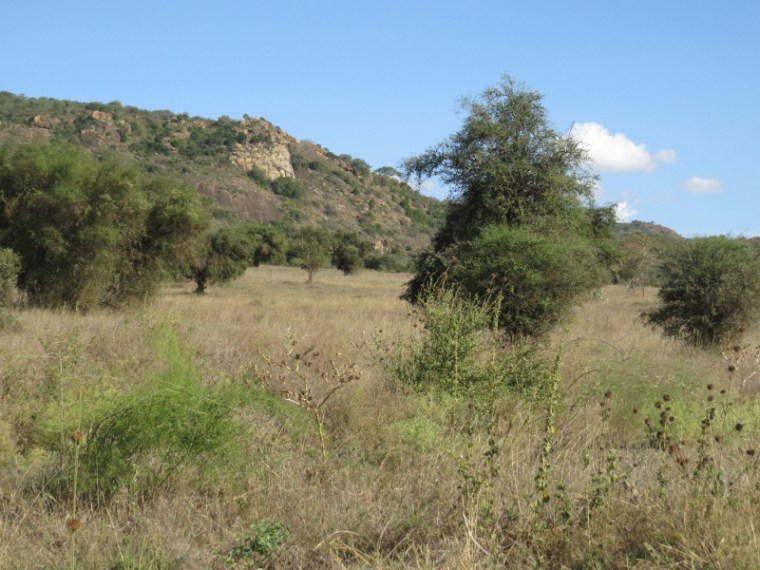 Lukenya Hill. Copyright Rupi Mangat