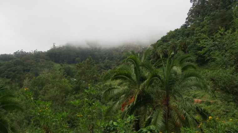 Mist descending in Vuria. Copyright Rupi Mangat