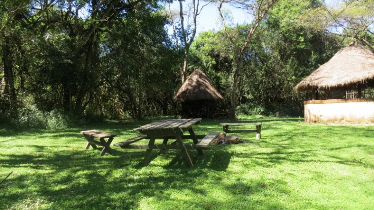 camp ground at saiwa swamp copyright maya mangat (800x450)