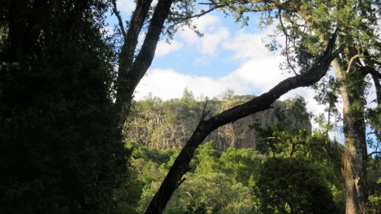 endebess cliff from kapkuru cottage mount elgon copyright maya mangat dec 2018 (800x450)