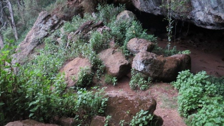 kitum cave visited by elephants on mount elgon copyright maya mangat dec 2018 (800x450)