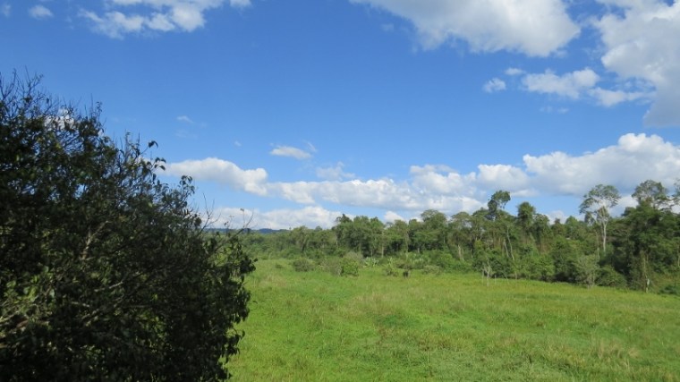 saiwa swamp copyright maya mangat (800x450)