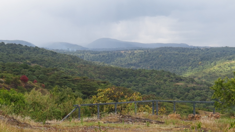 views from mount elgon copyright maya mangat dec 2018 (800x450)
