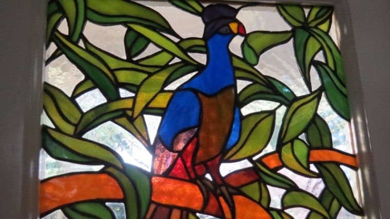 Great Blue Turaco window pane at Rondo Retreat - copyright Maya Mangat for 23 Feb 2019 (800x450)