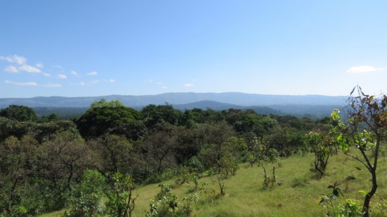 Panorama from Lirhanda Hill in Kakamega Forest of South Nandi Forest. Copyright Maya Mangat for 23 Feb 2019 (800x450)