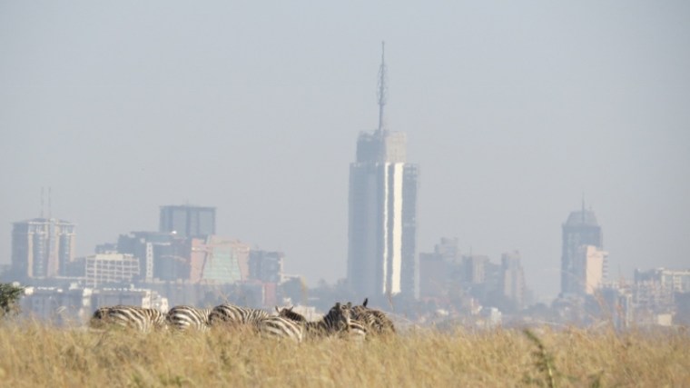 Zebra and the city in Nairobi National Park February 2019. Copyright Rupi Mangat (800x450)