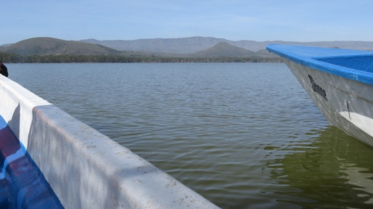 From Oloiden looking at the Mau Range, one of Kenya's most important water towers. Copyright Rupi Mangat
