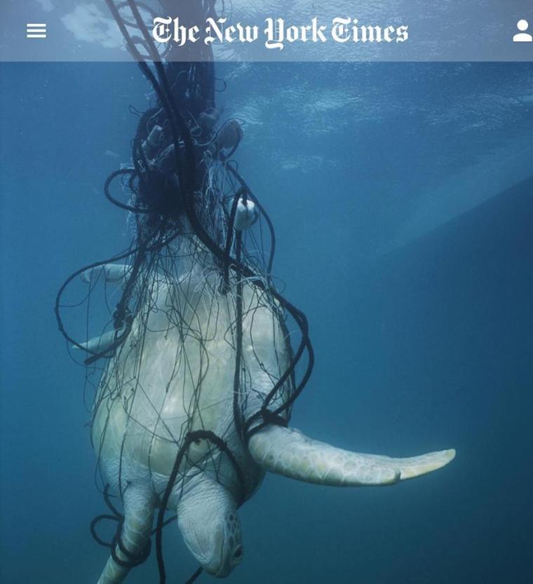 local Ocean Conservation 16