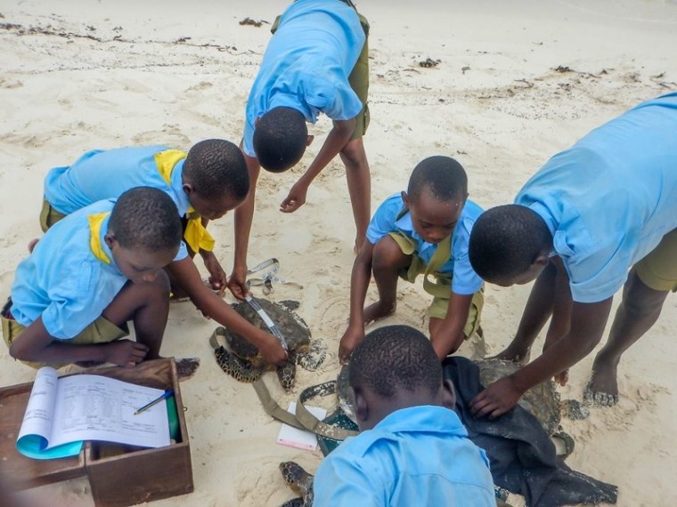 local Ocean Conservation 5 (800x600)