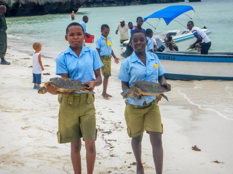 local Ocean Conservation 6 (800x600)