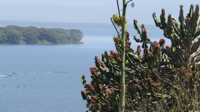 Lake Naivasha Copyright Rupi Mangat (800x450)