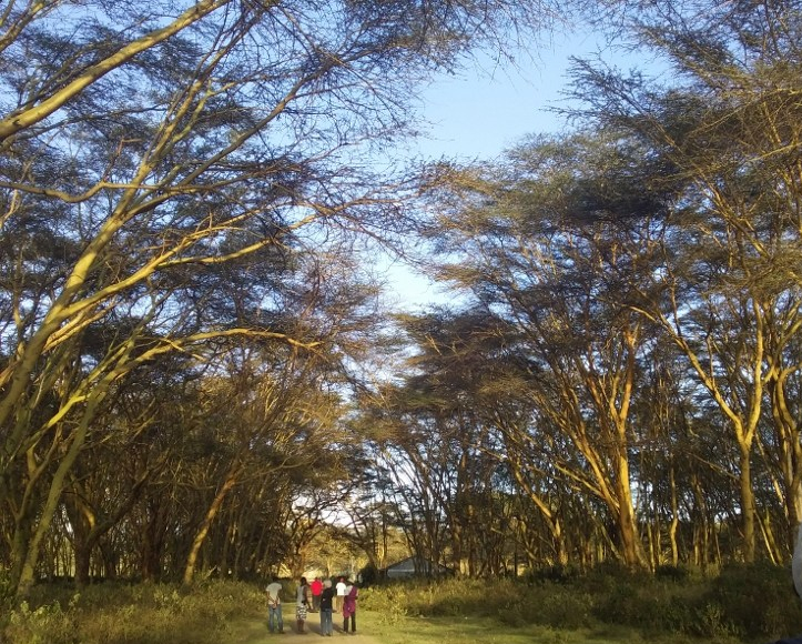Lake Naivasha KWS ground Copyright Desire James Wainaina (800x600)
