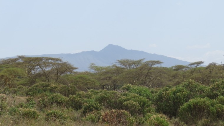 Mount Longonot from Lake Naivasha KWS ground Copyright Rupi Mangat (800x450)