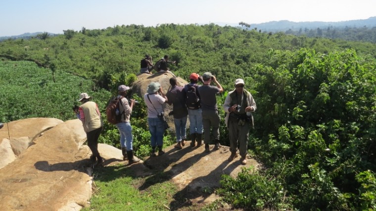 Birding in South Nandi Forest in Tea Farm at Kobujoi. May 2019. Copyright Rupi Mangat (800x450)