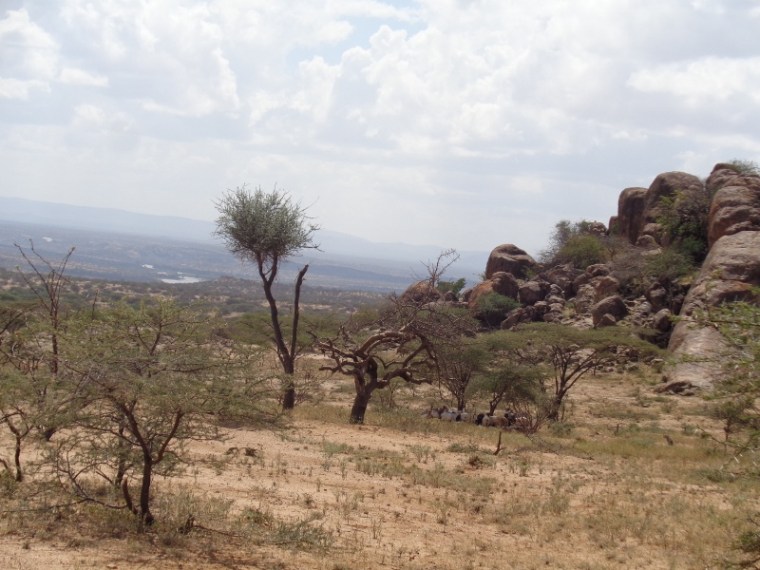 Landscape in norhern Kenya. Copyright Rupi Mangat