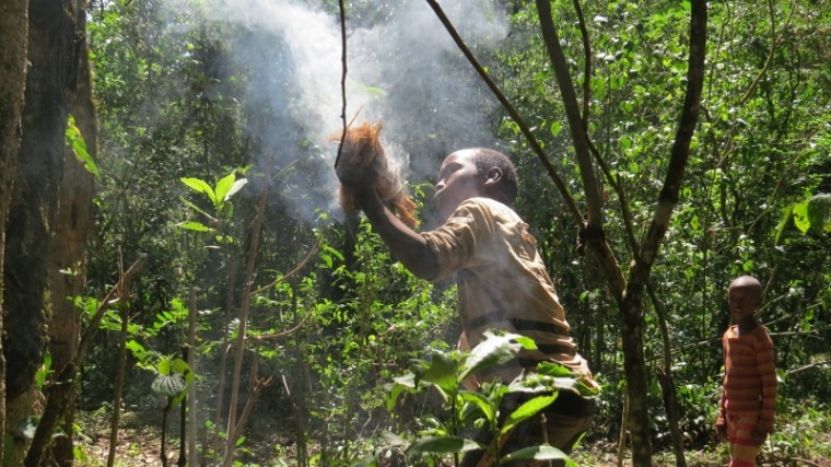 Kids smoking out bees for honey in northern part of South Nandi Forest. May 2019. Copyright Rupi Mangat (800x450)