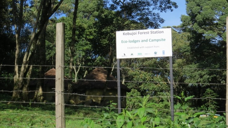 Kobujoi Forestt Station - eco lodge and bandas in South Nandi Forest but not operationali. May 2019. Copyright Rupi Mangat (800x450)