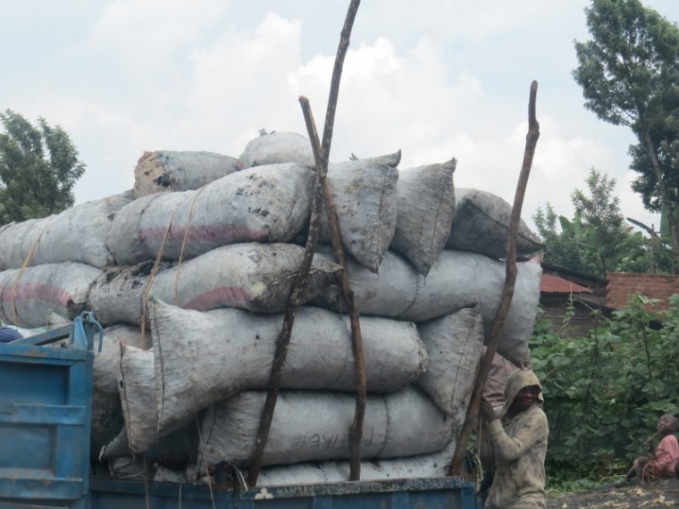 Charcoal trade rife in the Kahuzi-Biega area in DRC. Copyright Rupi Mangat (800x600)