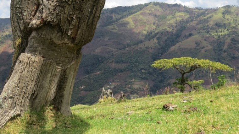 Deforestation on Sekerr Hills - Mt Mtelo is part of it. Copyright Rupi Mangat (800x450)
